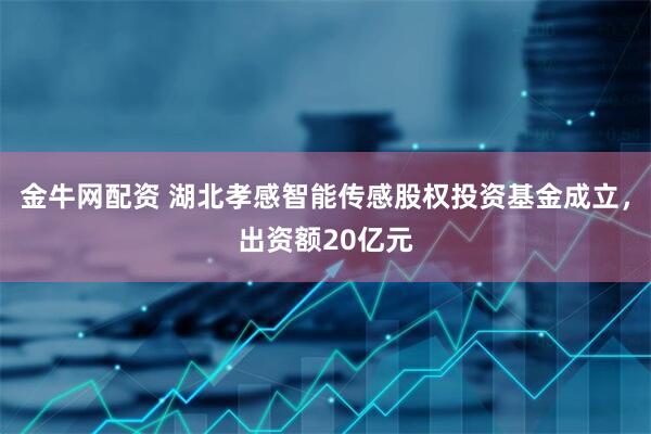 金牛网配资 湖北孝感智能传感股权投资基金成立，出资额20亿元