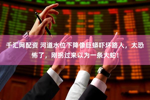 千汇网配资 河道水位下降像巨蟒吓坏路人，太恐怖了，刚拐过来以为一条大蛇！