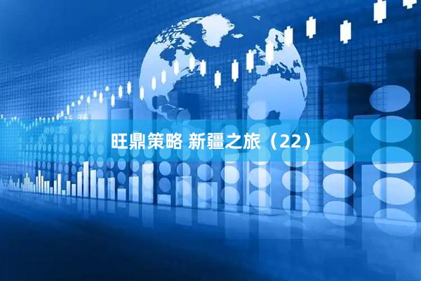 旺鼎策略 新疆之旅（22）