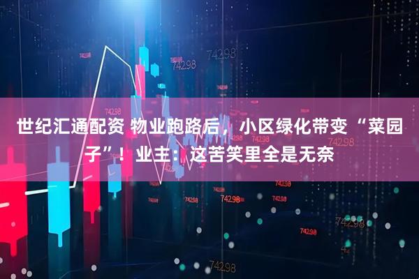 世纪汇通配资 物业跑路后，小区绿化带变 “菜园子”！业主：这苦笑里全是无奈