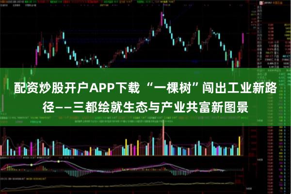 配资炒股开户APP下载 “一棵树”闯出工业新路径——三都绘就生态与产业共富新图景