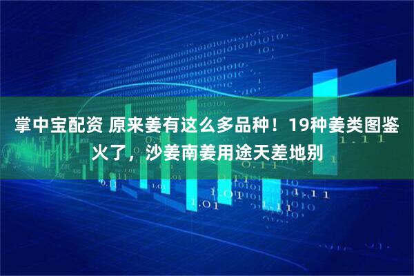 掌中宝配资 原来姜有这么多品种！19种姜类图鉴火了，沙姜南姜用途天差地别