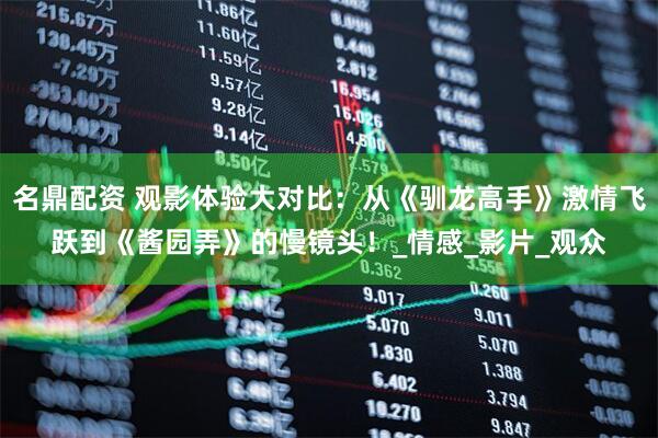 名鼎配资 观影体验大对比：从《驯龙高手》激情飞跃到《酱园弄》的慢镜头！_情感_影片_观众