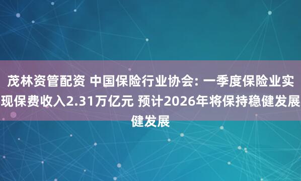 茂林资管配资 中国保险行业协会: 一季度保险业实现保费收入2.31万亿元 预计2026年将保持稳健发展